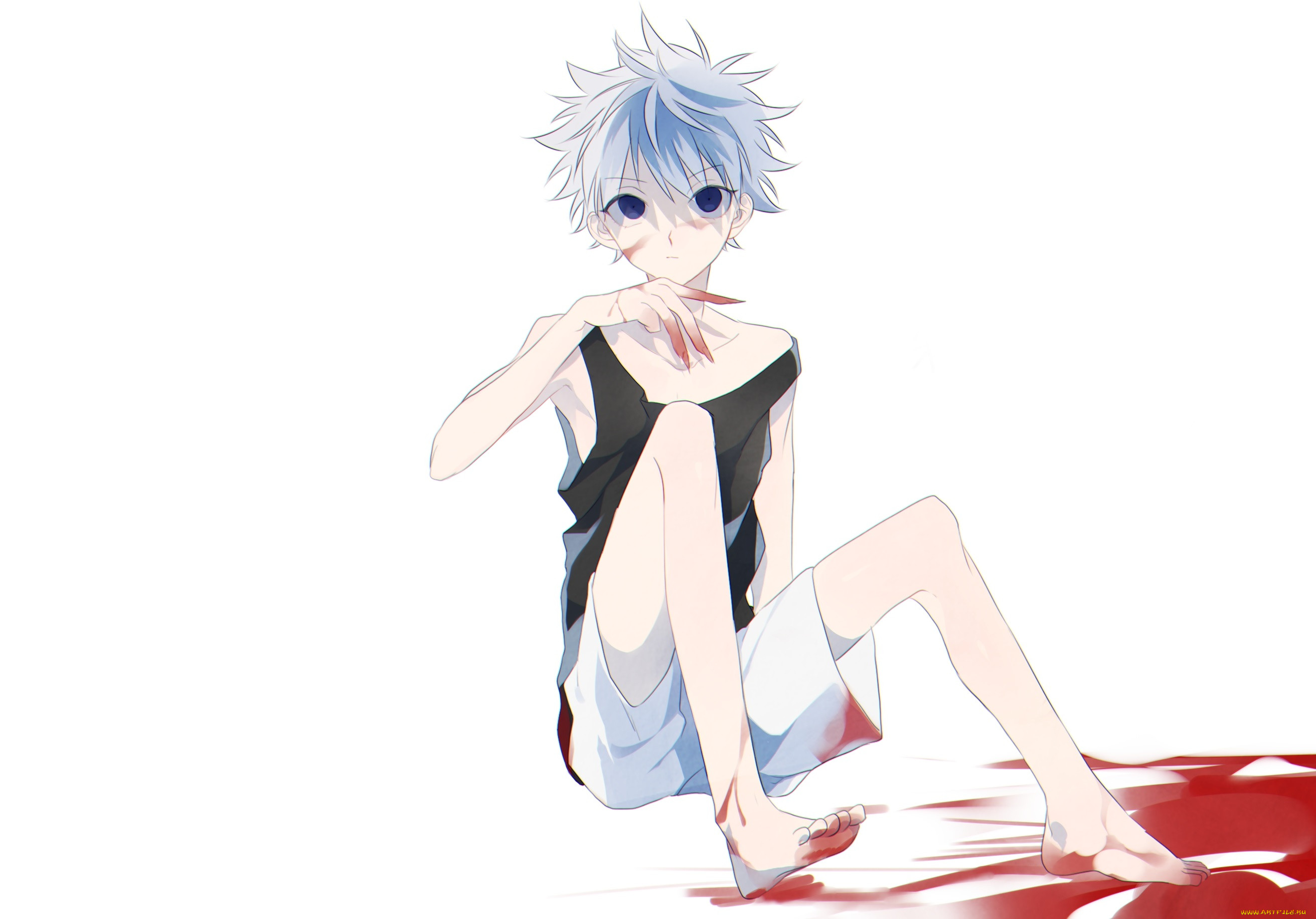 , hunter x hunter, killua, zoldyck